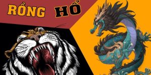 Mẹo đánh rồng hổ - Hướng dẫn từ A đến Z để thành công 14 Những điều cần biết khi choi Rồng Hổ online